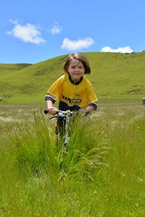 taupo isla